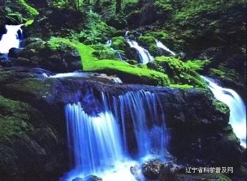 金融公司 分公司与总公司法人不同 分公司出问题 总公司可以没有责任？总公司是不是可以撇清关系游戏画面